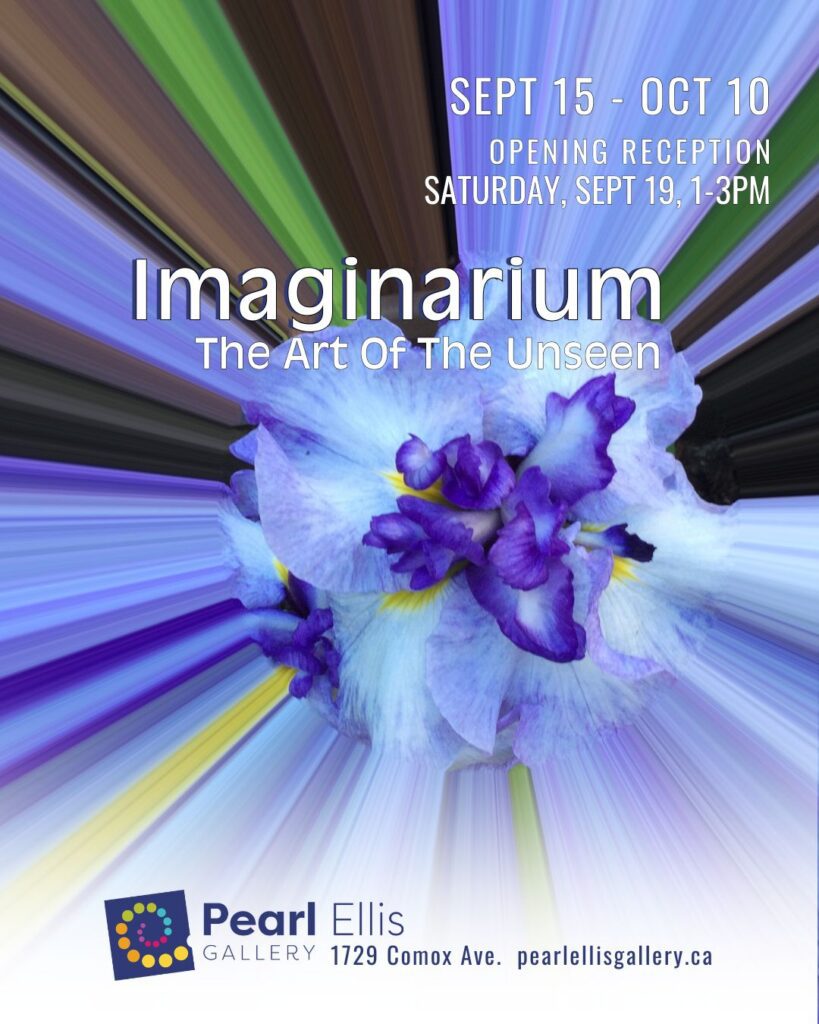 アート・デザイン・音楽 IMAGINARIUM Imaginarium | Comox Valley Arts